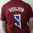 JERSEY HALAND 2.webp